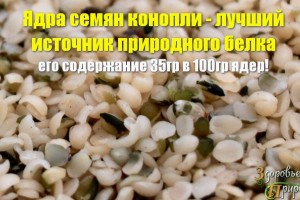 Конопля очищенная купить